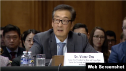 빅터 차 전략국제문제연구소(CSIS) 한국석좌