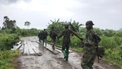 SML: Basimba minduki bapameli lolenge ya bobengisami na bango na bokutani ya Nairobi