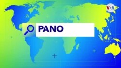 PANORAMA - ¿Cómo se ha convertido Chile en un nido de Startups? 