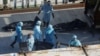 Workers in protective suits move a body to a refrigerated container outside a funeral home, as mortuaries run out of space amid the coronavirus disease (COVID-19) pandemic, in Hong Kong, March 10, 2022. 
