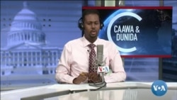 Caawa iyo Dunida