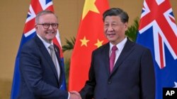 中国领导人习近平与澳大利亚总理阿尔巴尼斯2022年在巴厘岛出席G20峰会期间举行会晤。（美联社2022年11月15日）