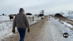 Federal funding freeze impacts vital agriculture sector in Wisconsin
