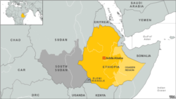 መግለጺ ክልል ኣምሓራን ግብረ መልሲ ክልል ትግራይን