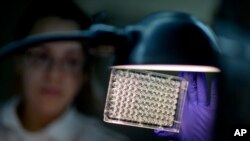 乔治亚州亚特兰大美国疾控中心实验室。一名微生物学家在检查病菌对抗生素的抗药性。（资料照片）