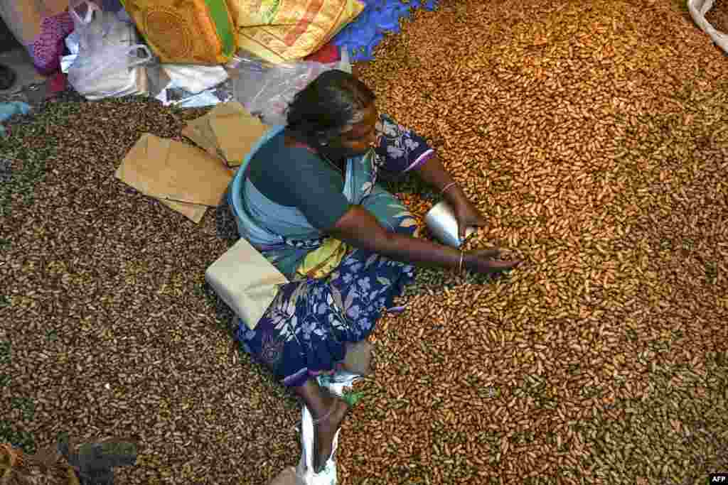 A street vendor sells peanuts during 'Kadalekai Parishe', the annual oldest known peanut fair in Bangalore, India, Nov. 25, 2019.