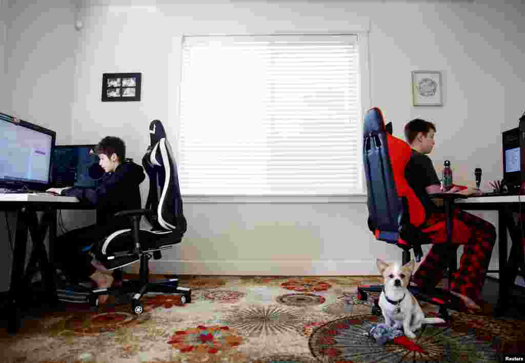 Foxton Harding, left and Adison Pucci, both 12, who attend Northshore Middle School in the Northshore School District, which has moved to online schooling for two weeks due to coronavirus concerns, work on school assignments at their home in Bothell, Washington, March 11, 2020.