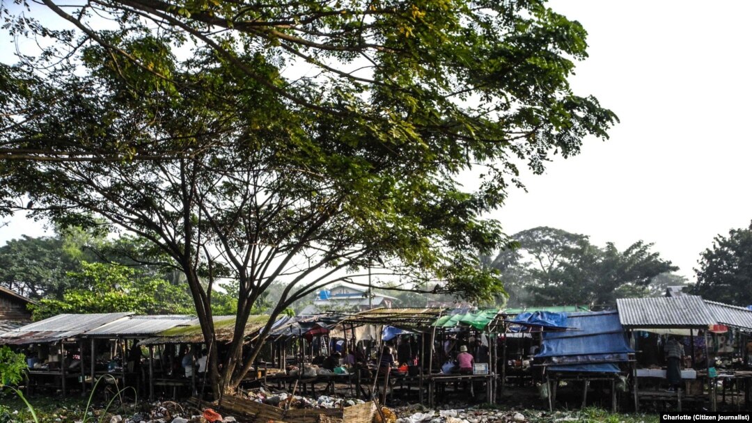 Plastic Waste (East Dagon)