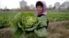 UNDP "대북사업 중단 계획 없어, 내년도 사업계획 작성 중"
