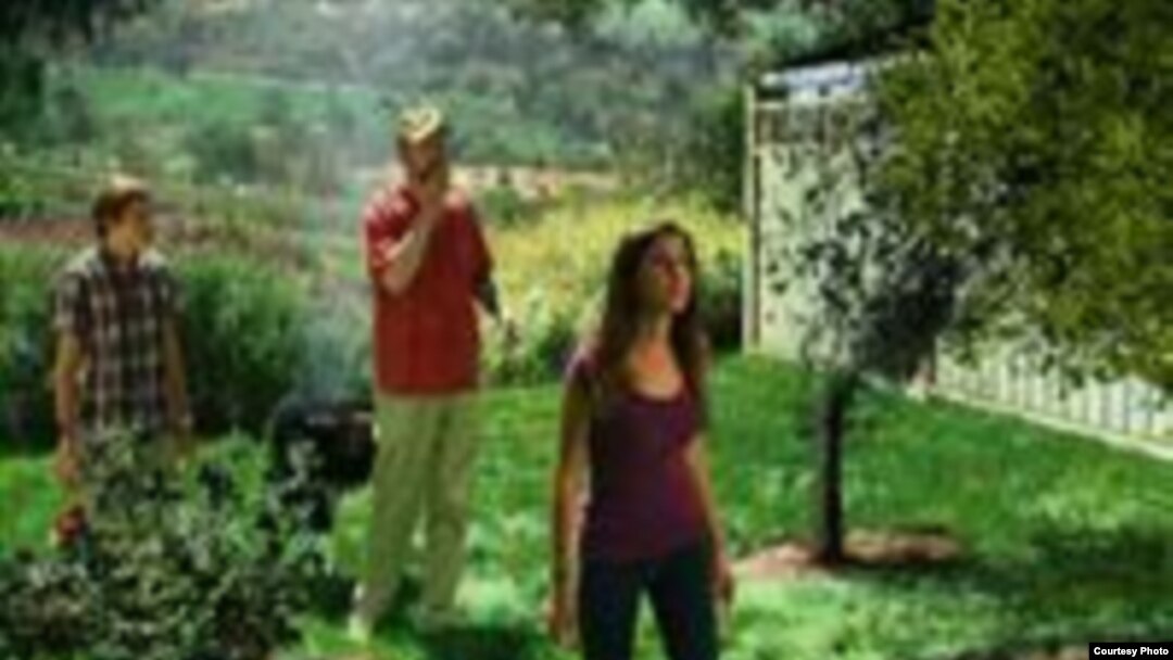 California es el estado productor número uno de cítricos frescos de la nación.