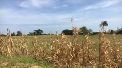 Emissão Vespertina 4 Setembro 2023: ONU tenta amortecer impacto da seca na África Austral 