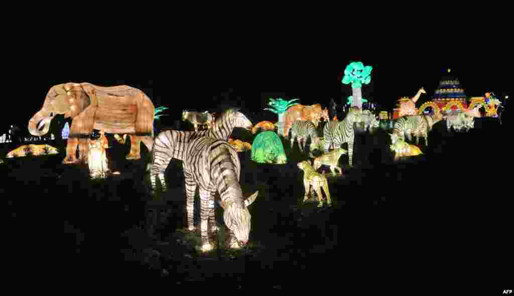 One of the thematic lantern sets is showcased at the so-called "The Great Lanterns of China" festival at northern Lithuania’s Pakruojis Manor, Dec. 25, 2019.