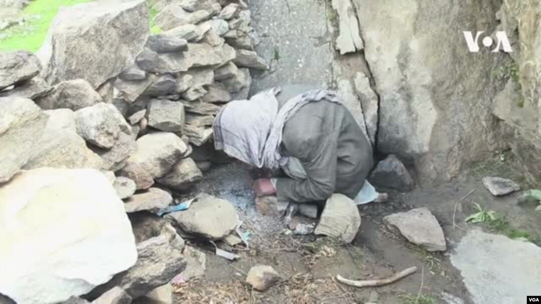 عکس: آرشیف