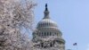 Senators Want Iranian Access to Foreign Cash Blocked