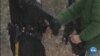 16x9 Image