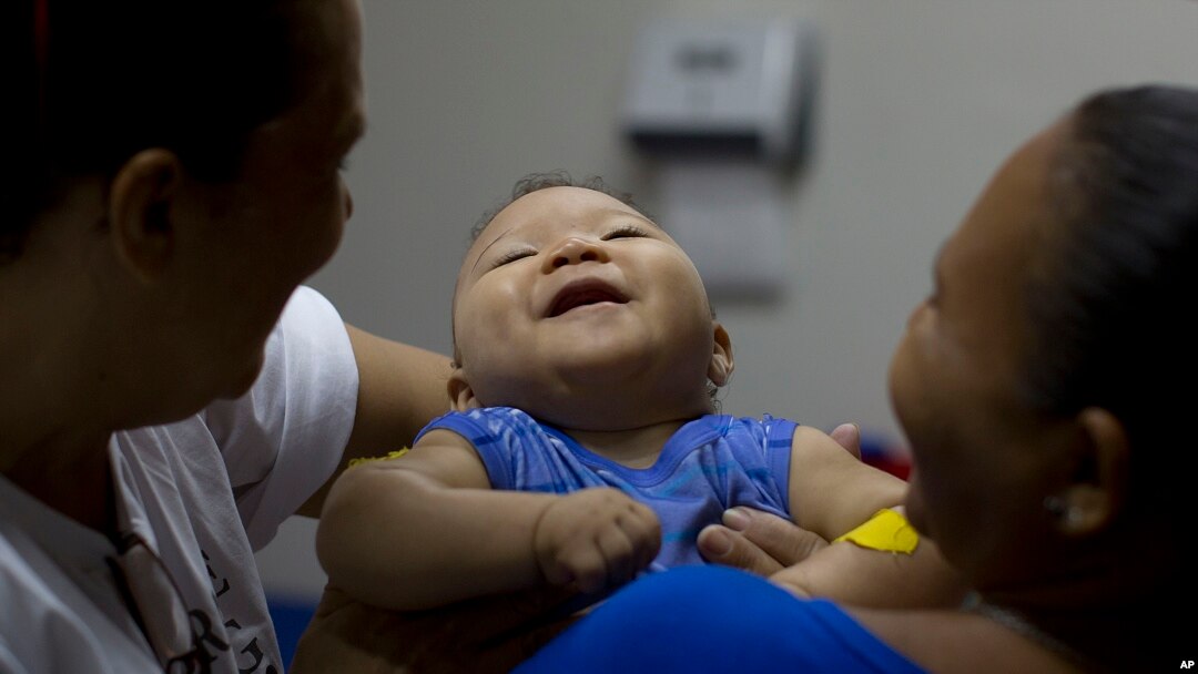 Nuevo estudio apoya la hipótesis que el contagio del virus del Zika durante los primeros meses de embarazo es lo más preocupante.