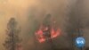 Scientists: Climate Change Making Western Wildfires Worse