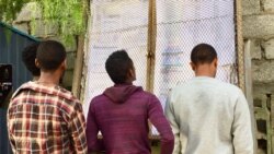 ክልል ትግራይ፡ ካብ ዩኒቨርስቲታት ተመሪቖም ንዓመታት ስራሕ ዘይረኸቡ መናእሰይ ንፀገም ምቕልዖም ይዛረቡ