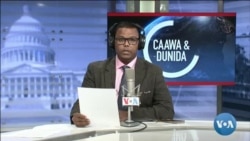 Caawa iyo Dunida