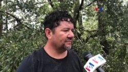 Devastación sin precedentes en el enclave de Florida