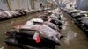 Japoneses levam grande parte do atum em Benguela