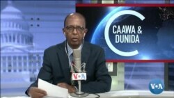 Caawa iyo Dunida