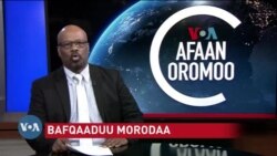 Tamsaasa Guyaadhaa Guyyaa