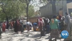 ፈነወ ድምጺ ኣመሪካ ቋንቋ ትግርኛ መጋቢት 21,2022