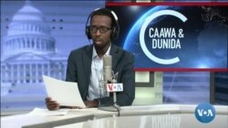 Caawa iyo Dunida