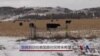 奥巴马到访给美国原住民带来希望
