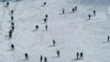 Arxiv surat. Kashmirning Gulmarg tog' kurorti, 2008-yil fevrali.