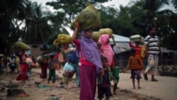 ရိုဟင်ဂျာအရေး ဒေါ်စုမှာတာဝန်ရှိဟု ကန်နိုင်ငံခြားရေးအရာရှိ ပြောဆို