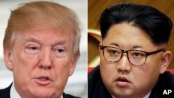 美国总统川普和朝鲜领导人金正恩的合成照