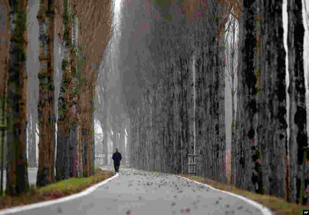 A man walks on a road on the Reichenau island near Constance, Germany.