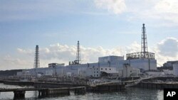 日本受損核電站附近海域