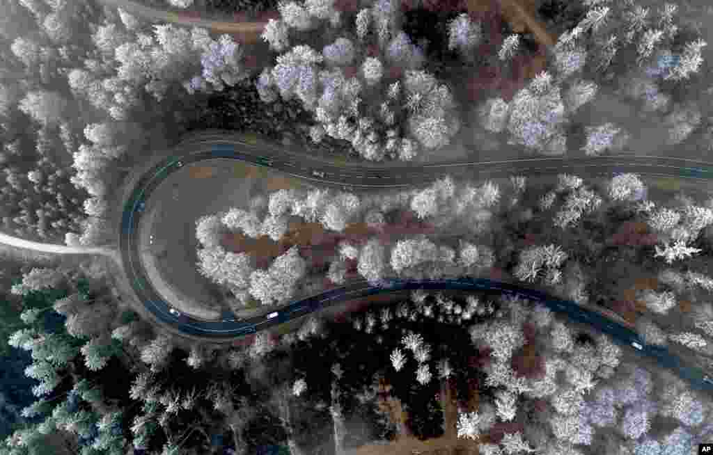 Frozen trees are seen from above in the Taunus region near Frankfurt, Germany.