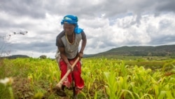 Angola longe de alcançar as metas de desenvolvimento sustentável