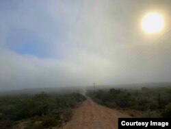 The sun sets over "the 605," acreage in Thompsonville, Texas, which the Indigenous Peyote Conservation purchased in 2018 for the conservation of peyote, a sacrament of the Native American Church.