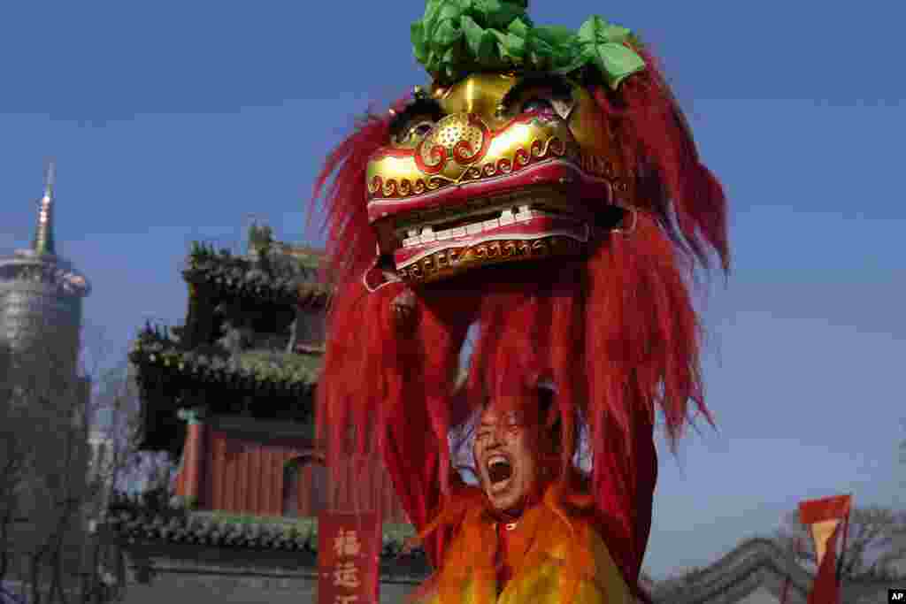 An artist shouts as he performs a lion dance at the Dongyue Temple on the first day of the Chinese Lunar New Year in Beijing.
