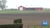 As Harvest Looms, Trade Storm Swirls Over US Farmers