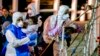 Migrants Arriving in Italy Find an 'Angel'