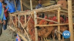 ፈነወ ድምጺ ኣመሪካ ቋንቋ ትግርኛ ሚያዝያ 22,2022