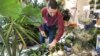 USA, Washington, Vladan Nikolic and his flowers