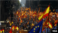 El escritor peruano Mario Vargas Llosa y el expresidente del Parlamento Europeo Josep Borrell pronunciaron discursos delante de la protesta.
