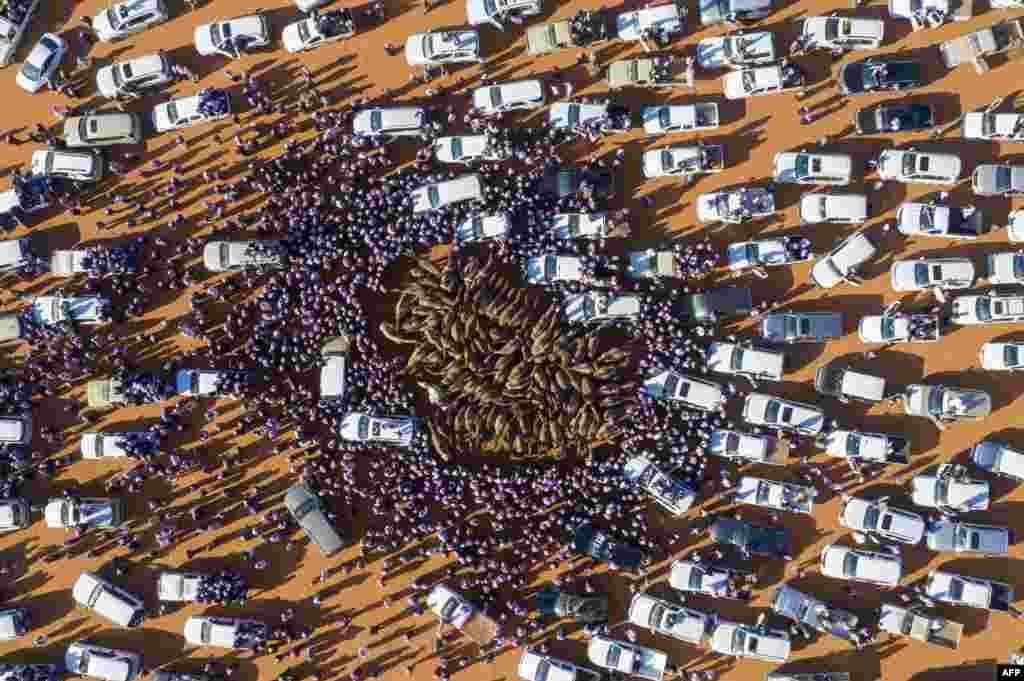 Cars and people surround camels for sale during the annual King Abdulaziz Camel Festival in Rumah, some 160 kilometers east of Riyadh, Saudi Arabia.