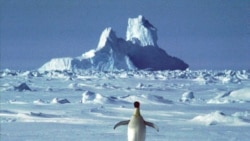 VOA Asia - A chilly place between Australia and China
