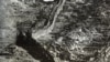 九一八80周年 台湾称国军还原抗战史实