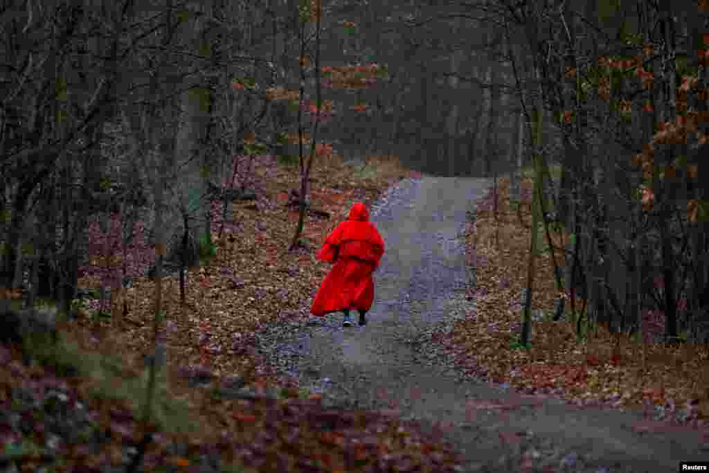 A runner dressed as Santa Claus walks through the forest while joining the annual 'Roast Goose Digestion Run' aiming to burn the calories after holiday celebrations in Berlin, Germany.
