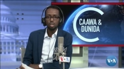 Caawa iyo Dunida
