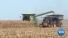 US Farmers Harvest Crops amid Trade, Impeachment Uncertainty